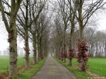 Iemenkampsweg